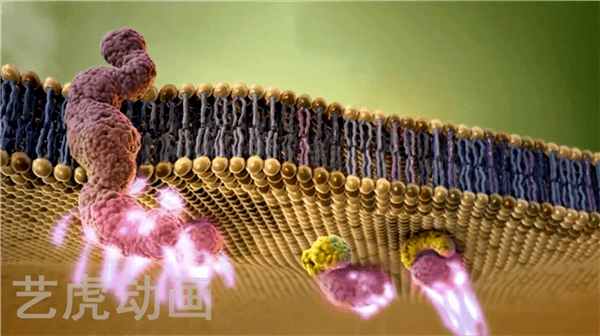 醫療生物化學概論細胞結構視頻